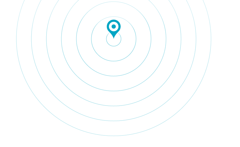 bozon-veterinaire-carte-du-monde-international