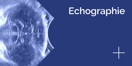hopia-veterinaire-echographie-460