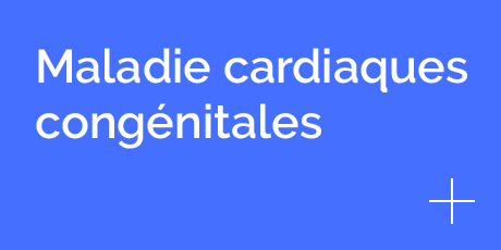 Maladie cardiaques congénitales clinique vétérinaire Hopia Versailles Grand Parc