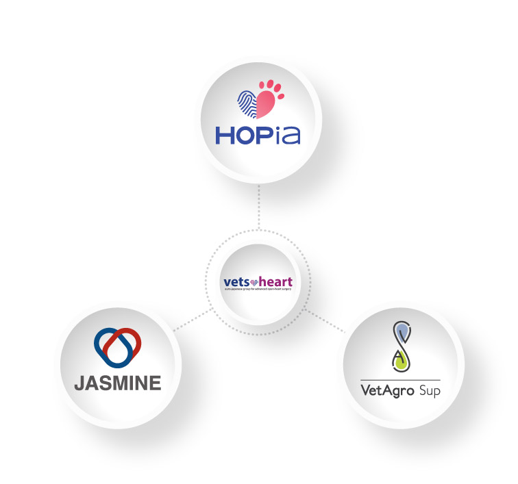 VetsHeart : Hopia, jasmine, VetAgro Sup
