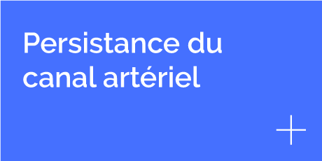 Persistance du canal artériel, clinique vétérinaire Hopia Versailles Grands Parc