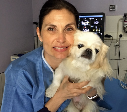 Dr Sabine Bozon porte un chien à la Clinique vétérinaire Hopia Versailles Grand Parc