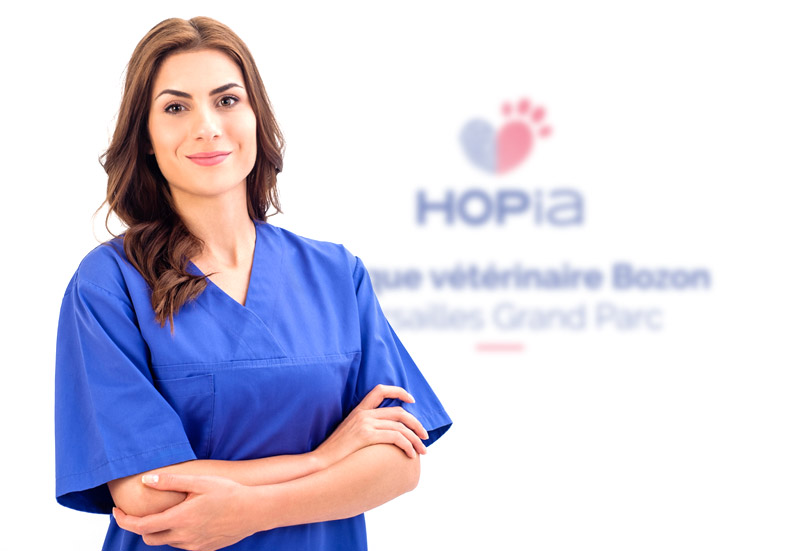 Formation de futurs vétérinaires à la Clinique vétérinaire Hopia Versailles Grand Parc