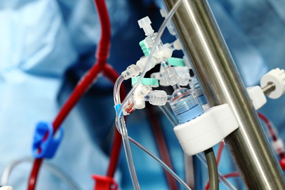 urgences transfusion à la clinique vétérinaire Bozon Hopia Versailles Grand Parc