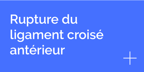 Rupture du ligament croisé antérieur, clinique vétérinaire Hopia Versailles Grands Parc