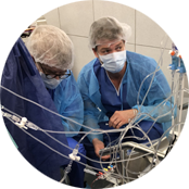 perfusionnistes