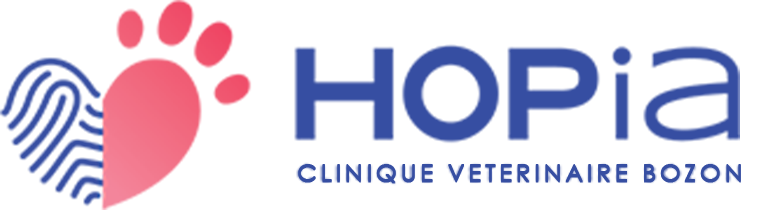 Hopia, Clinique veterinaire Bozon, Guyancourt, Versailles, Yvelines