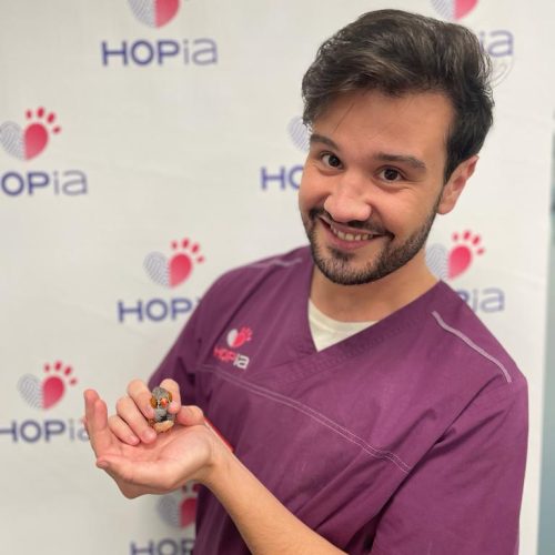 Christophe Rodrigues Christophe Rodrigues